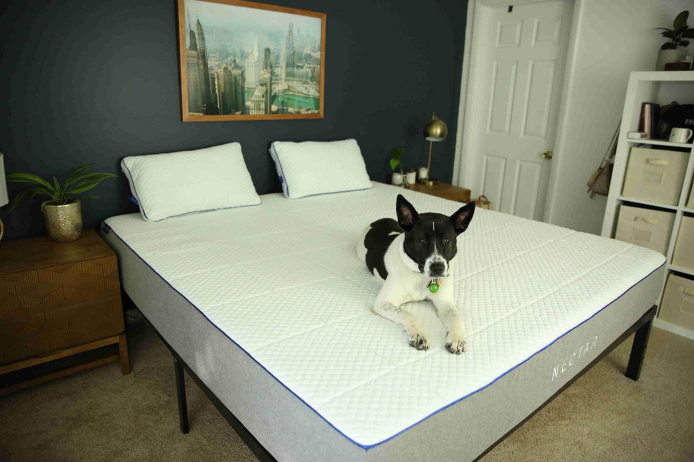 Can You Refold A Nectar Mattress? Tips To Move Our Mattress