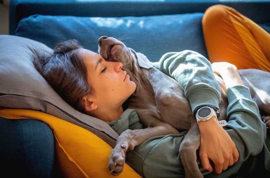 A puppy lying on top of young woman its owner on the sofa